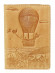Обложка на паспорт TRL-8753-Y воздушный шар